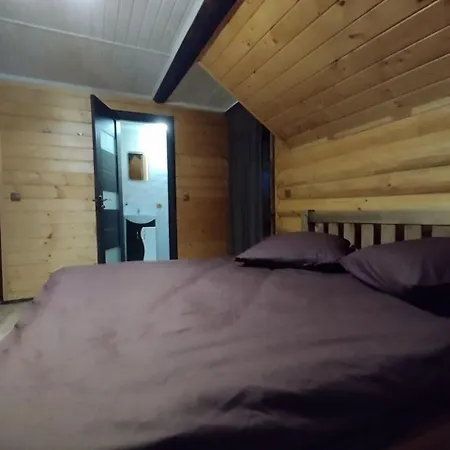 Country house у пасічника *